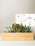 Holiday Corporate Bamboo Jewel Garden - Image 