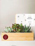 Holiday Corporate Bamboo Jewel Garden - Image 