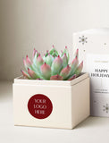 Holiday Corporate Bliss Garden - Image 