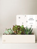 Holiday Corporate Jewel Garden - Image 