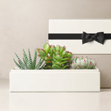 Black Bow Jewel Garden