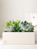 Holiday Corporate Urban Garden - Image 