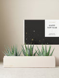 Three zebra haworthia succulents in a cream-colored rectangular planter box with a Happy New Year gift sleeve. - Image 