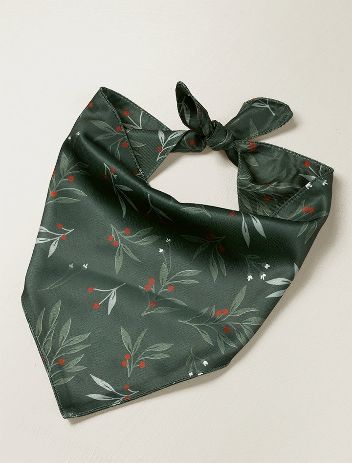 Dog Bandana