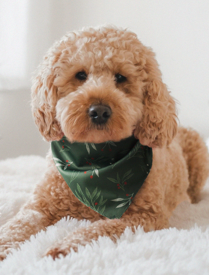 Dog Bandana