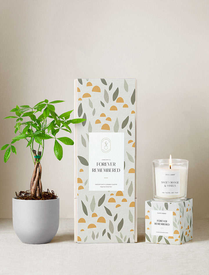 Forever Remembered Plant Gift Set