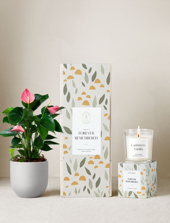 Forever Remembered Plant Gift Set