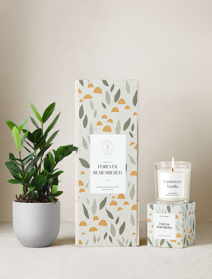 Forever Remembered Plant Gift Set