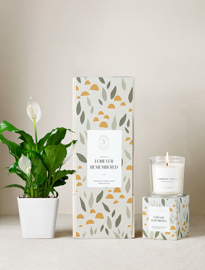 Sympathy Gift | Plant Gifts | Best Gifts For Plant Lovers – Lula's