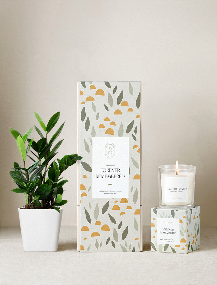 Sympathy Gift | Plant Gifts | Best Gifts For Plant Lovers – Lula's