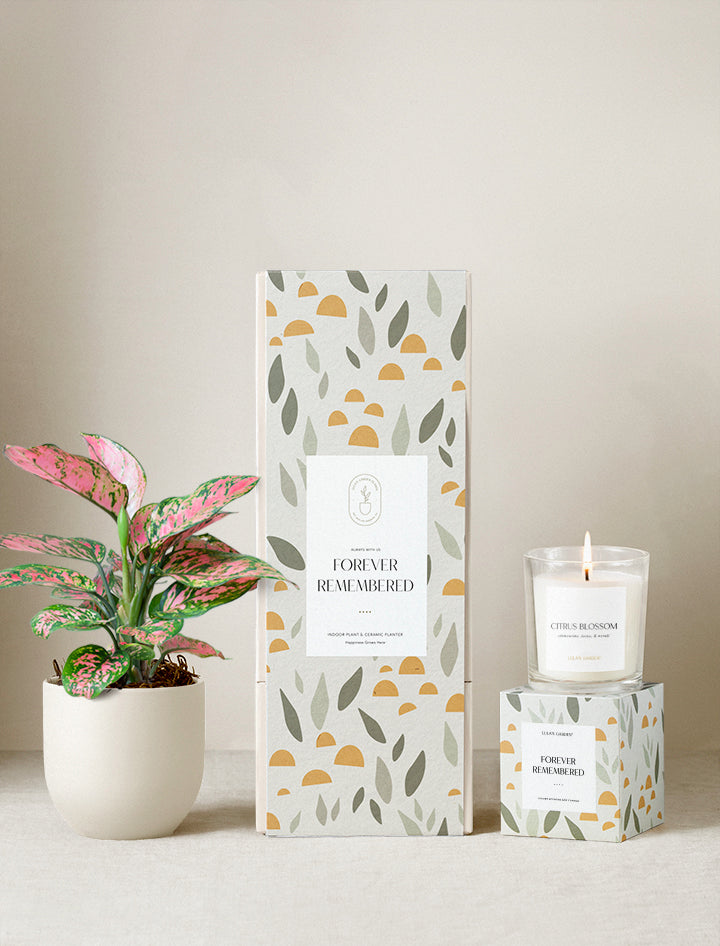 Forever Remembered Plant Gift Set