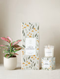 Forever Remembered Plant Gift Set
