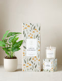 Forever Remembered Plant Gift Set