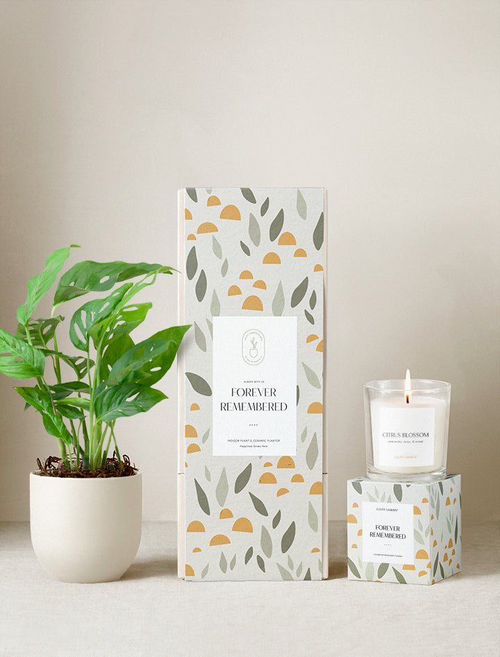 Forever Remembered Plant Gift Set