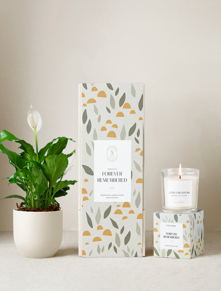 Forever Remembered Plant Gift Set