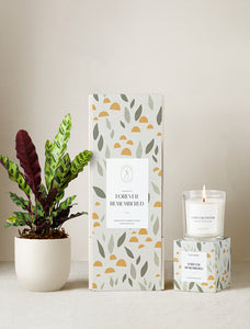 Forever Remembered Plant Gift Set