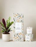 Forever Remembered Plant Gift Set