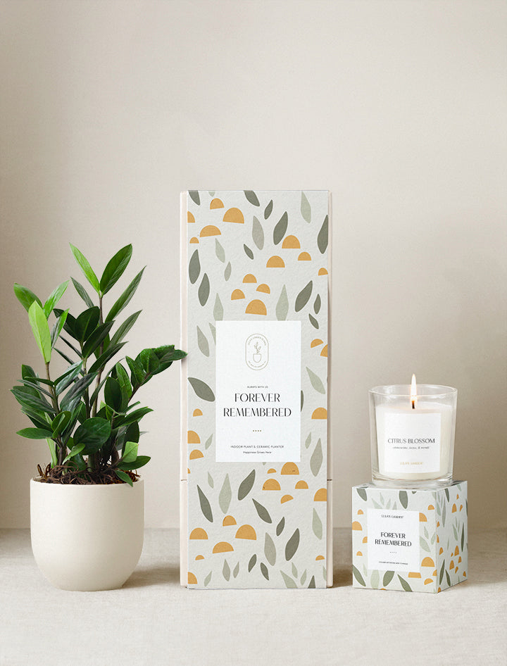 Forever Remembered Plant Gift Set