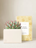 Furever Remembered Bliss Garden & Picture Frame - Image 
