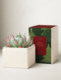 Christmas Bliss & Scented Candle & Matches - Image 