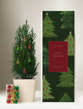 Christmas Mini Christmas Tree With Ornaments - Image 