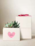Friendship Day Glow Garden - Image 