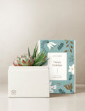 A white gift box holding two green succulents, placed beside a decorative gift box printed with floral illustrations and the text 'Happy Holidays' and 'Lula's Garden. - Image 