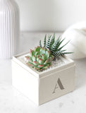 A small potted succulent arrangement in a white square box with a monogrammed letter 'A' on the front, set on a light marble surface with a softly blurred white background. - Image 
