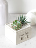 A small potted succulent in a square white planter box with the text 'your logo HERE' on the front, placed on a light marble surface with a softly blurred white background. - Image 