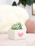 Friendship Day Glow Garden - Image 
