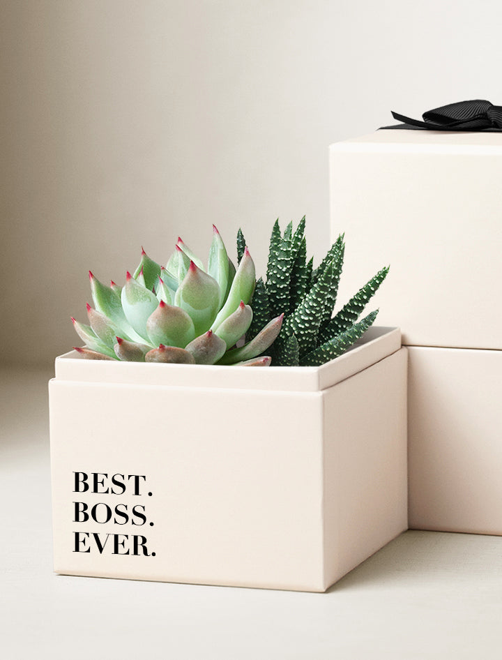 best succulent gift box Boss's Day Gifts | Glow Garden | Succulent Plant Delivery