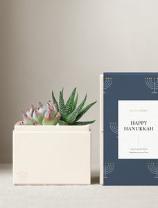 Hanukkah Glow Garden