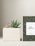Christmas Glow Garden