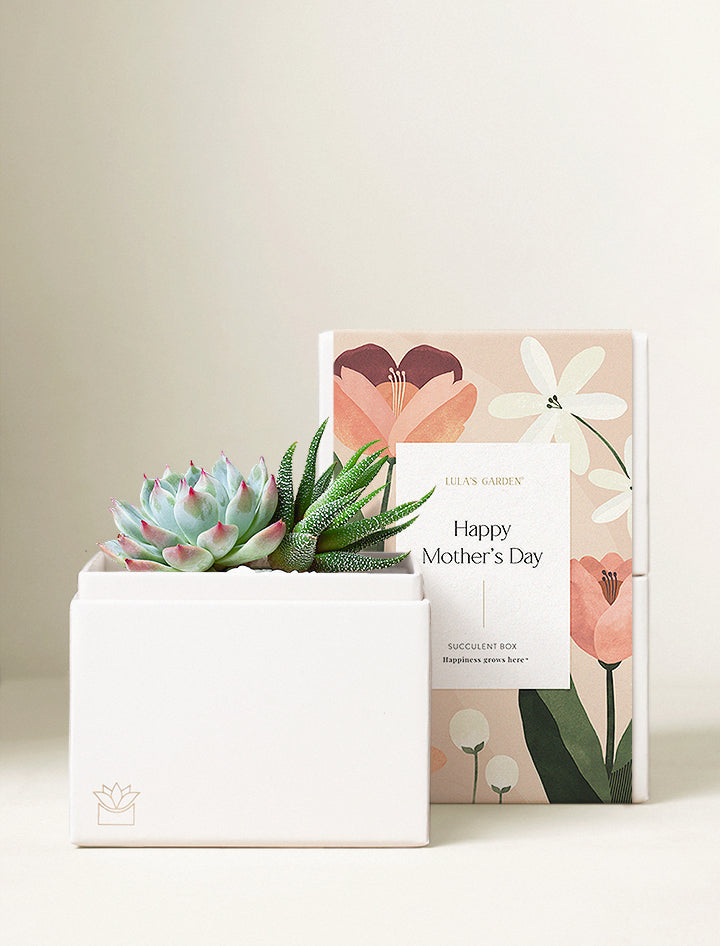 Mother's Day Glow Garden
