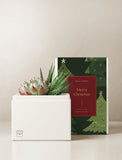 A white gift box holding two green succulents, placed beside a decorative gift box printed with floral illustrations and the text 'Merry Christmas' and 'Lula's Garden. - Image 