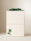 Beige gift box with green bow. - Image 