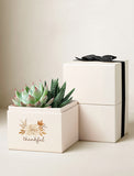 Two succulents in a cream-colored gift box featuring a floral design and the word thankful, topped with a black ribbon. - Image 