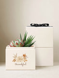 Two succulents in a cream-colored gift box featuring a floral design and the word thankful, topped with a black ribbon. - Image 