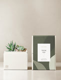 OnGift // Shea Interiors // Glow Garden // TY1