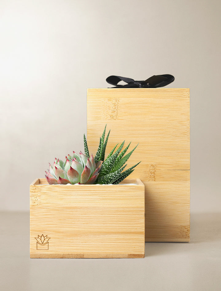 Corporate Christmas Gifts | Corporate Gifts For Clients, Employees, Events, Special Occasions