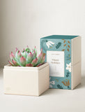 Holiday Bliss Garden - Image 