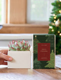 Christmas Bliss Garden - Image 