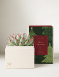 Christmas Bliss Garden - Image 