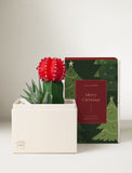 Christmas Joy Garden - Image 