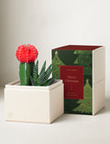 Christmas Joy Garden - Image 