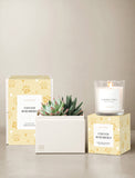 Furever Remembered Petite Gardens & Scented Candle - Image 