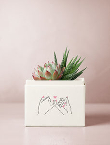 Friendship Day Glow Garden