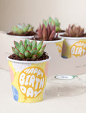 Lula's Favors 6-Pack Succulents - Happy Birthday - Image 