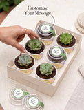 Lula's Favors 6-Pack Succulents - Happy Birthday - Image 