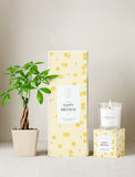 Plant next to gift box and candle. - Image 